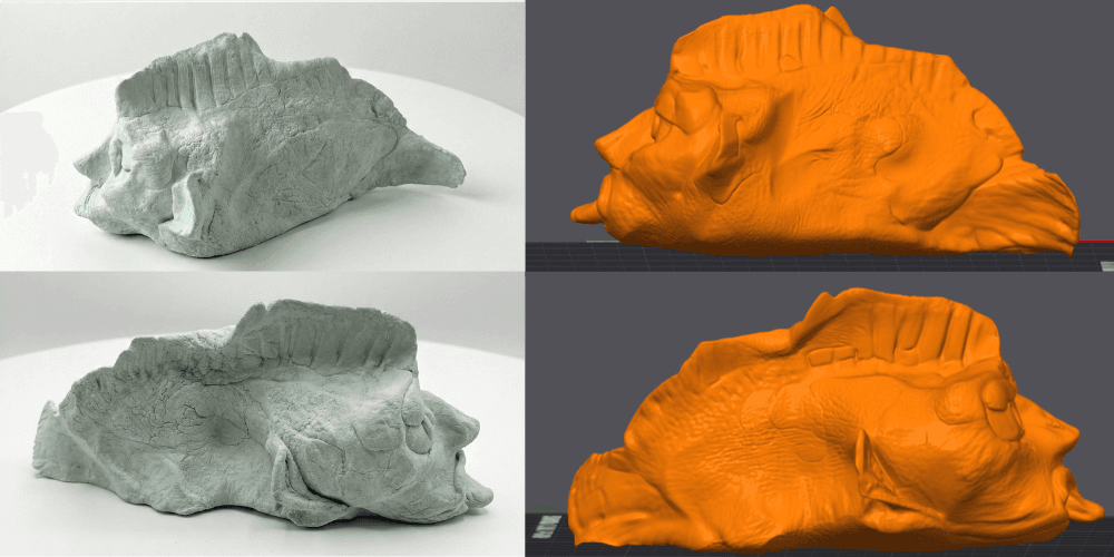 The Play-Dough Fish Preservation